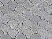 Shell Paving Blocks